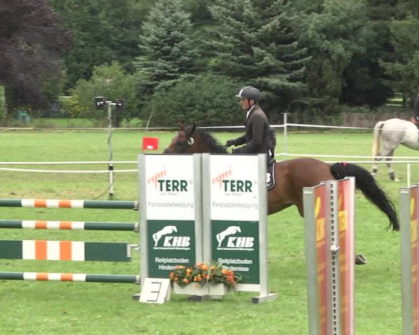 Reitturnier Memmingen 2017