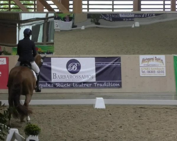 Reitturnier Fröhnerhof 2017