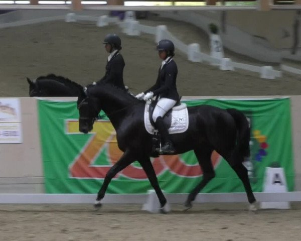 Reitturnier Fröhnerhof 2017