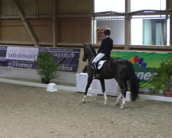 Reitturnier Fröhnerhof 2017