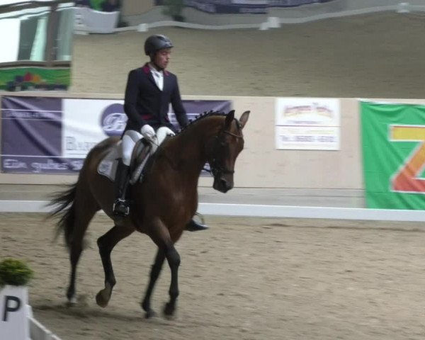 Reitturnier Fröhnerhof 2017