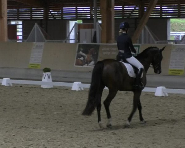 Reitturnier Fröhnerhof 2017