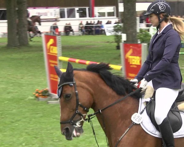Reitturnier Memmingen 2017
