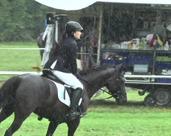 Reitturnier Memmingen 2017