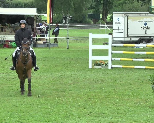 Reitturnier Memmingen 2017