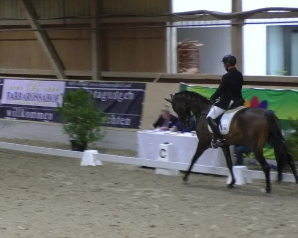 Reitturnier Fröhnerhof 2017