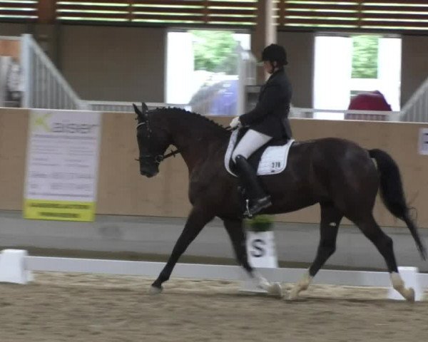 Reitturnier Fröhnerhof 2017