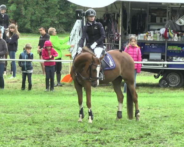 Reitturnier Memmingen 2017