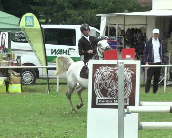 Reitturnier Memmingen 2017