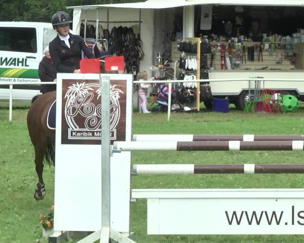 Reitturnier Memmingen 2017