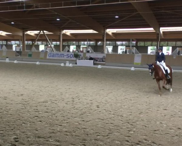 Reitturnier Fröhnerhof 2017