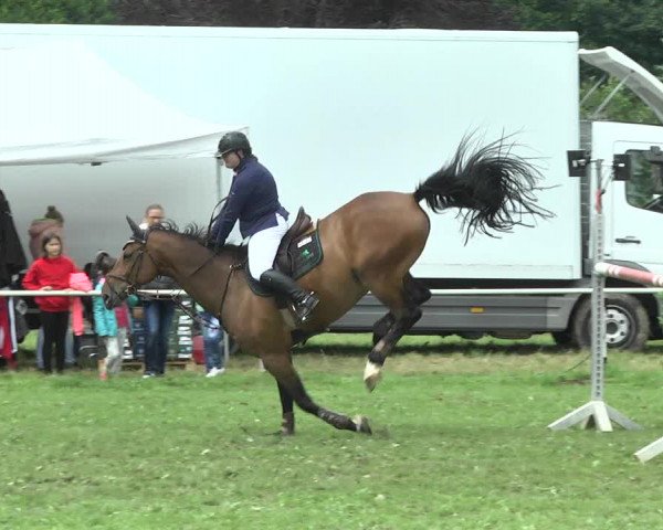 Reitturnier Memmingen 2017