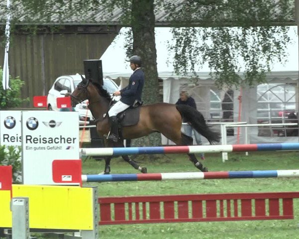 Reitturnier Memmingen 2017
