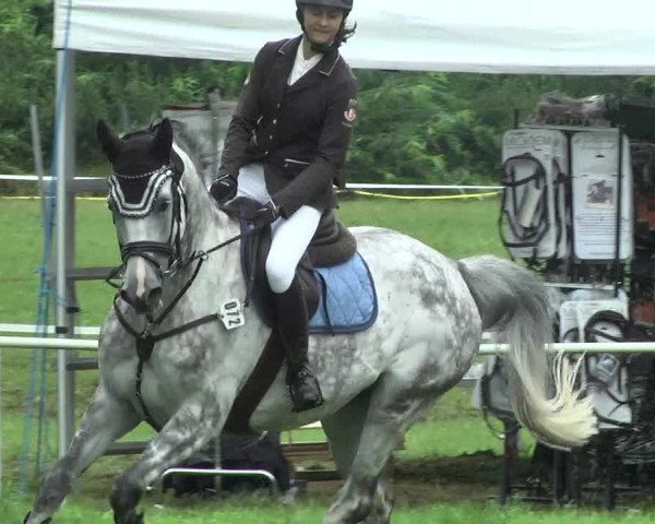 Reitturnier Memmingen 2017