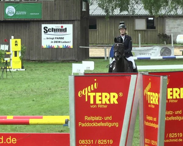 Reitturnier Memmingen 2017