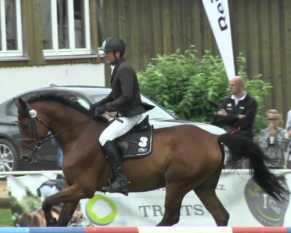 Reitturnier Memmingen 2017
