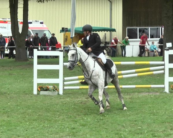 Reitturnier Memmingen 2017