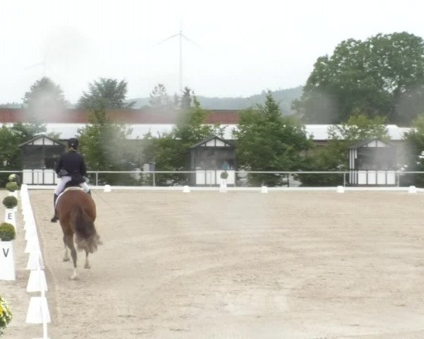 Reitturnier Fröhnerhof 2017