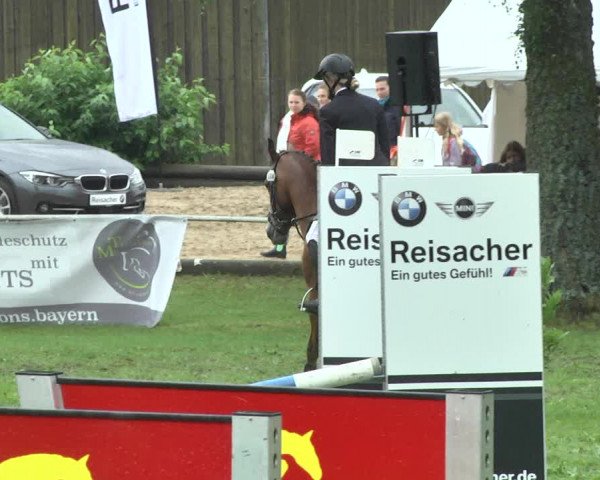 Reitturnier Memmingen 2017