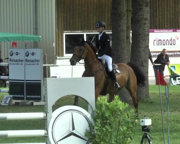 Reitturnier Memmingen 2017