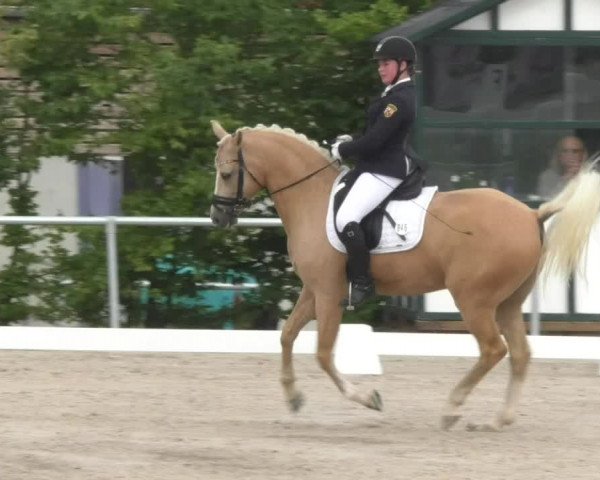 Reitturnier Fröhnerhof 2017