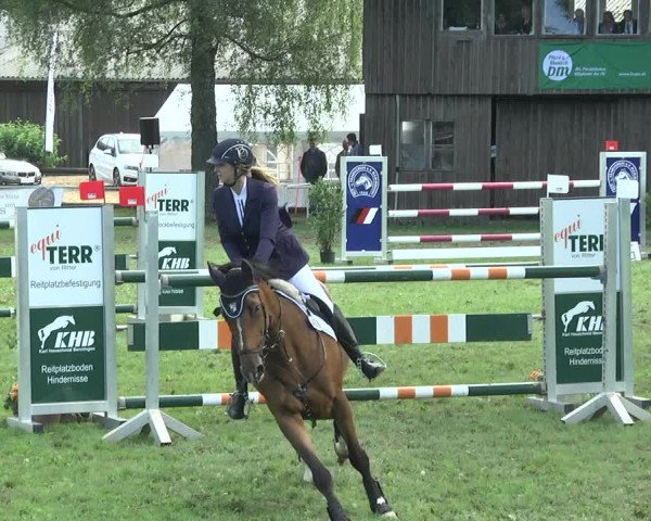 Reitturnier Memmingen 2017