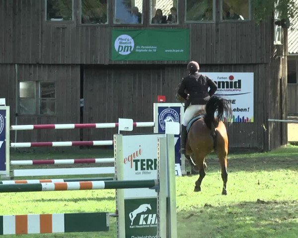 Reitturnier Memmingen 2017