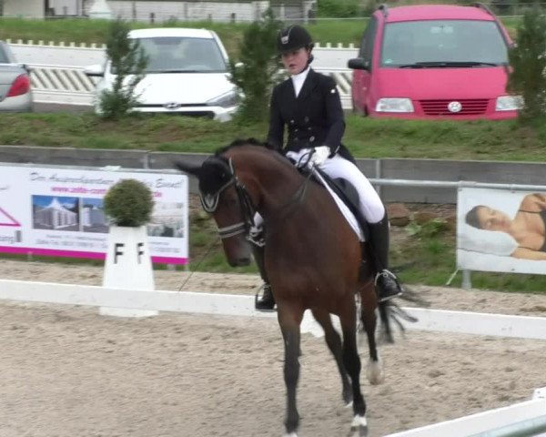 Reitturnier Fröhnerhof 2017