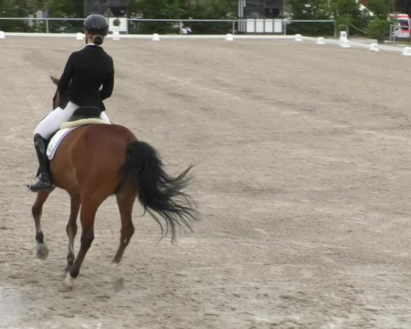 Reitturnier Fröhnerhof 2017