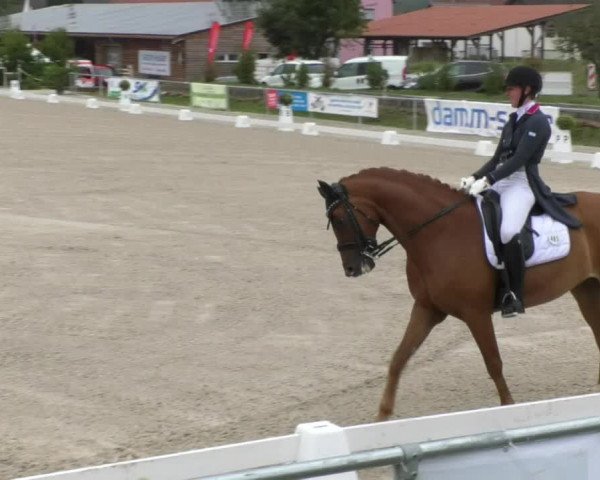 Reitturnier Fröhnerhof 2017