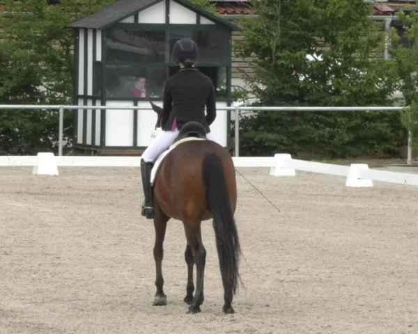 Reitturnier Fröhnerhof 2017