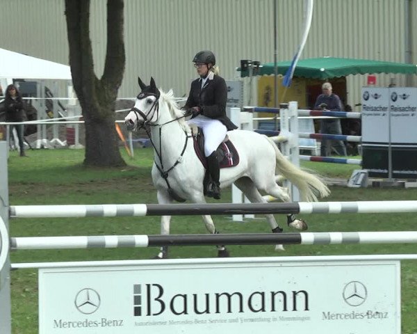 Reitturnier Memmingen 2017