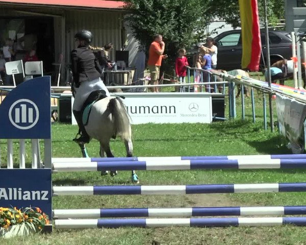 Reitturnier Memmingen 2017