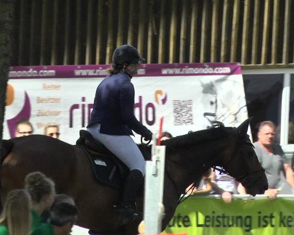 Reitturnier Memmingen 2017