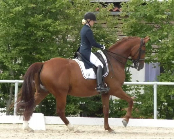Reitturnier Fröhnerhof 2017
