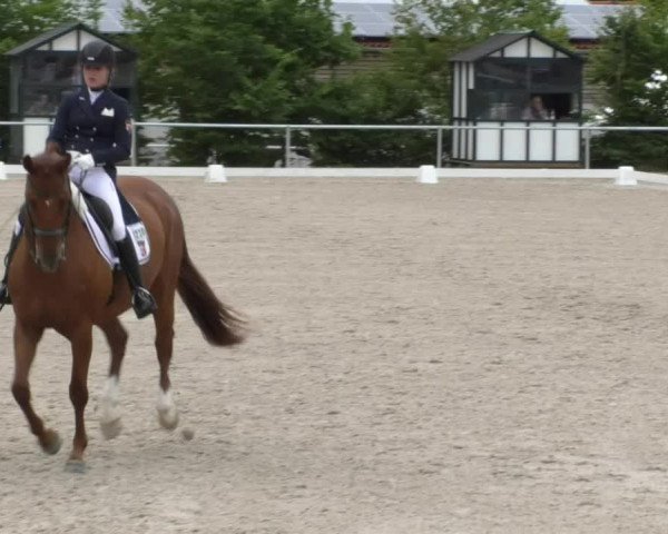 Reitturnier Fröhnerhof 2017