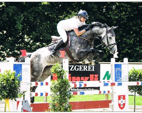 broodmare Contekyra (Swiss Warmblood, 2006, from Contendro I)