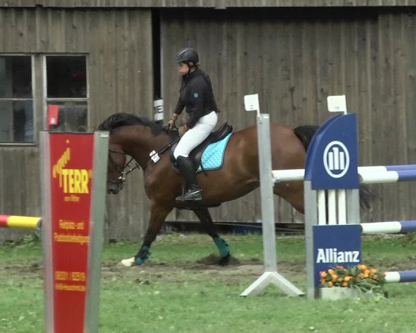 Reitturnier Memmingen 2017