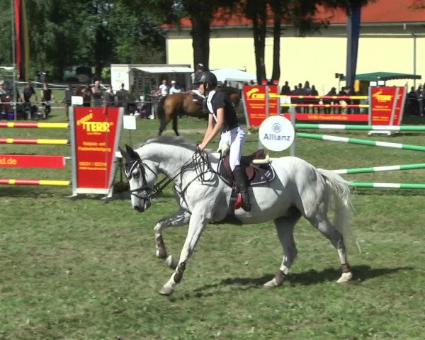 Reitturnier Memmingen 2017