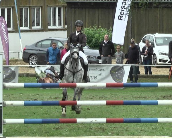 Reitturnier Memmingen 2017