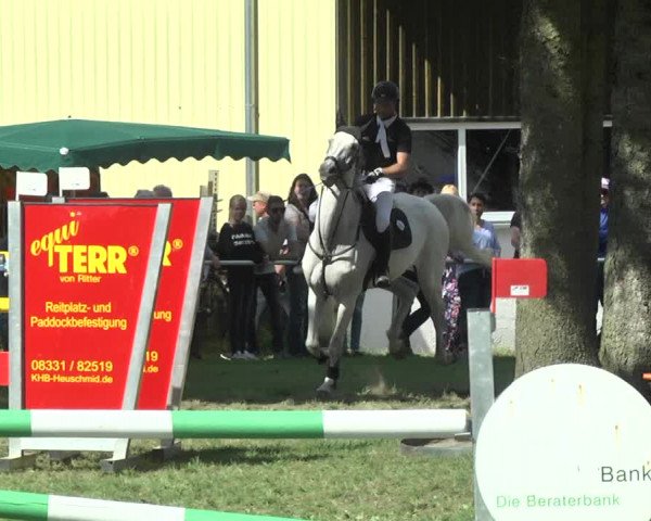 Reitturnier Memmingen 2017