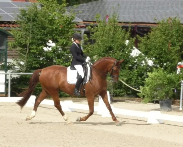 Reitturnier Fröhnerhof 2017