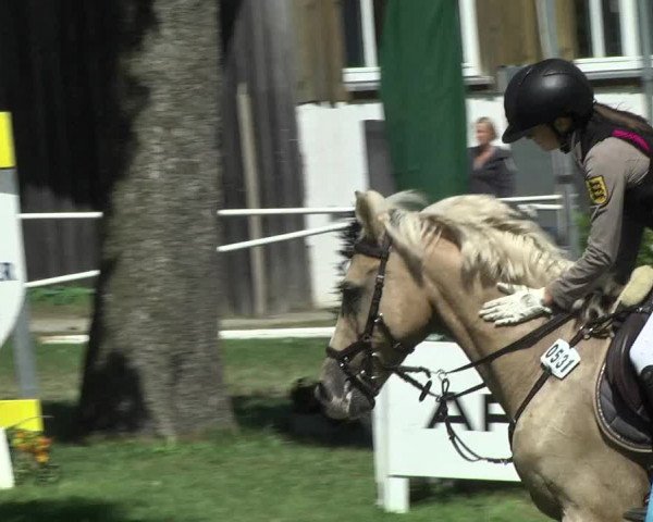 Reitturnier Memmingen 2017