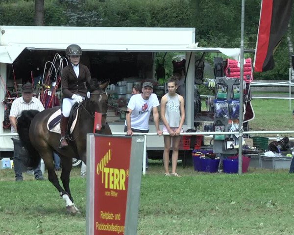 Reitturnier Memmingen 2017