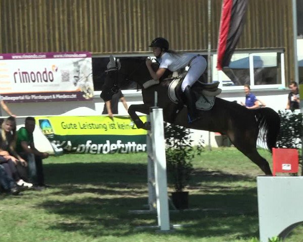 Reitturnier Memmingen 2017