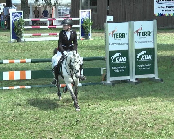 Reitturnier Memmingen 2017