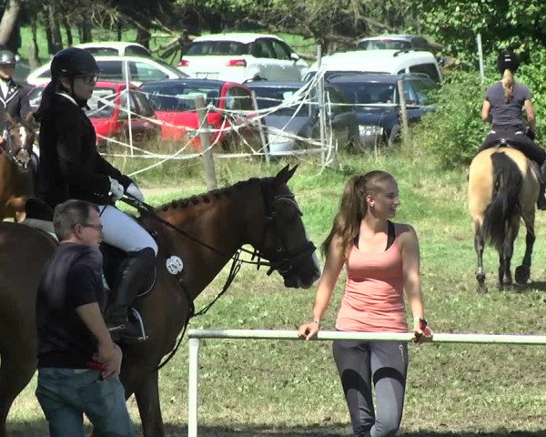 Reitturnier Memmingen 2017