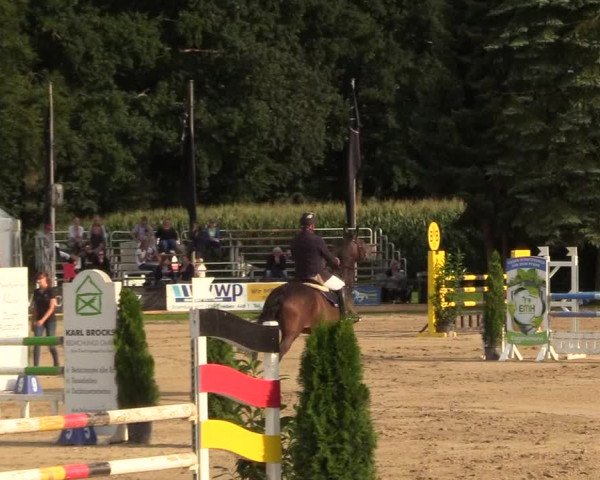 Reitturnier Waltrop 2017