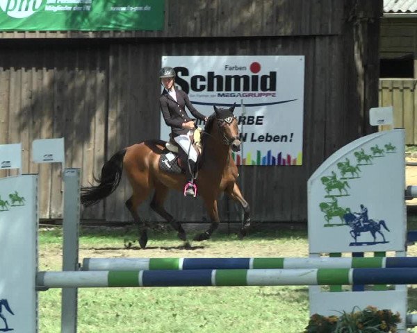 Reitturnier Memmingen 2017
