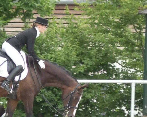 Reitturnier Fröhnerhof 2017